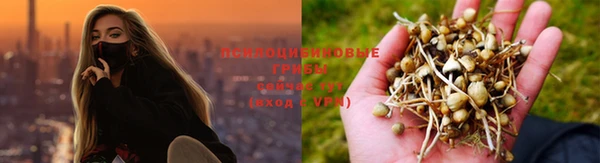 марихуана Алексин